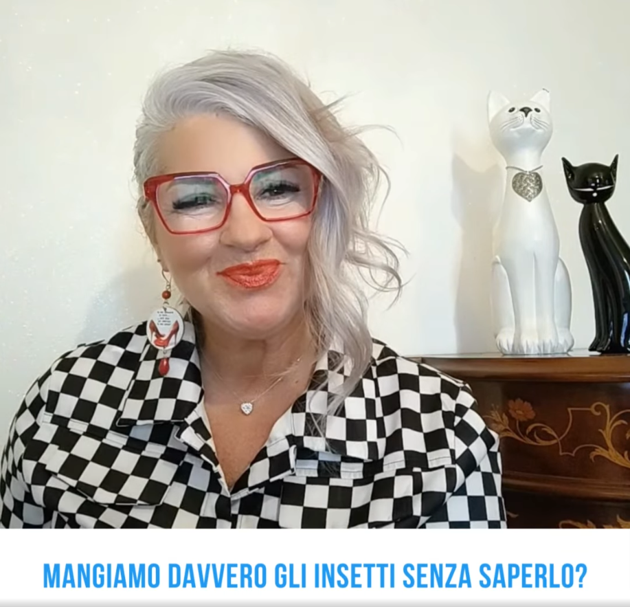 insetti alimentazione